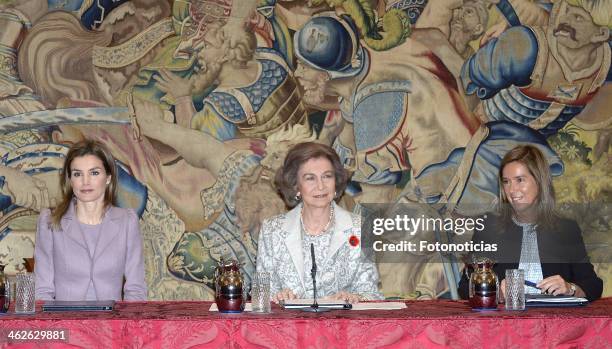 Princess Letizia of Spain, Queen Sofia of Spain and Minister Ana Mato attend 'Civil Awards Order Of Social Solidarity 2012' at Zarzuela Palace on...