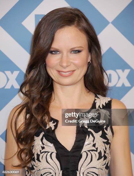 Actress Mary Lynn Rajskub arrives at the 2014 TCA winter press tour FOX all-star party at The Langham Huntington Hotel and Spa on January 13, 2014 in...