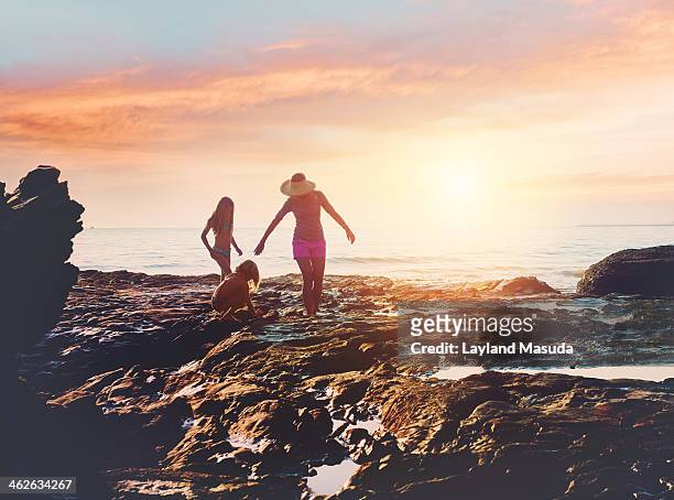 beach cove sunset - with family - 潮池 個照片及圖片檔