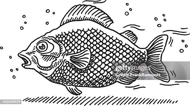 swimming fish drawing - floating bubbles white background stock illustrations