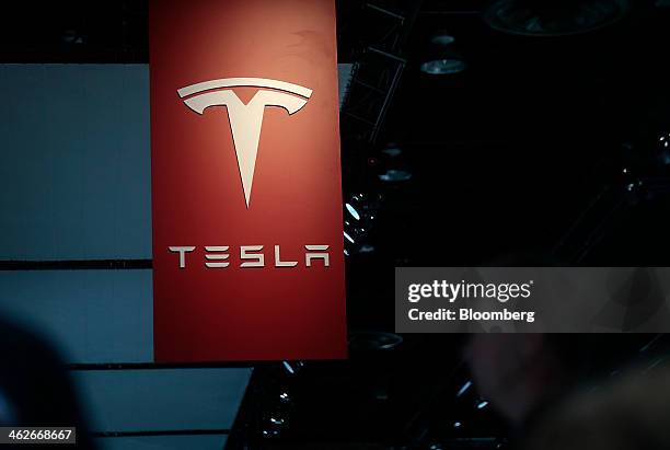 The Tesla Motors Inc. Logo is seen at the company's booth during the 2014 North American International Auto Show in Detroit, Michigan, U.S., on...