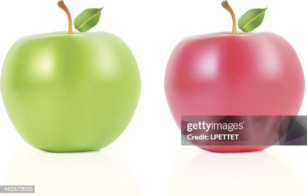 stockillustraties, clipart, cartoons en iconen met apples - vector illustration - granny smith appel