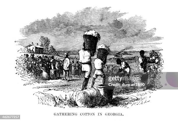 ilustraciones, imágenes clip art, dibujos animados e iconos de stock de reunión de algodón en georgia - slaves picking cotton