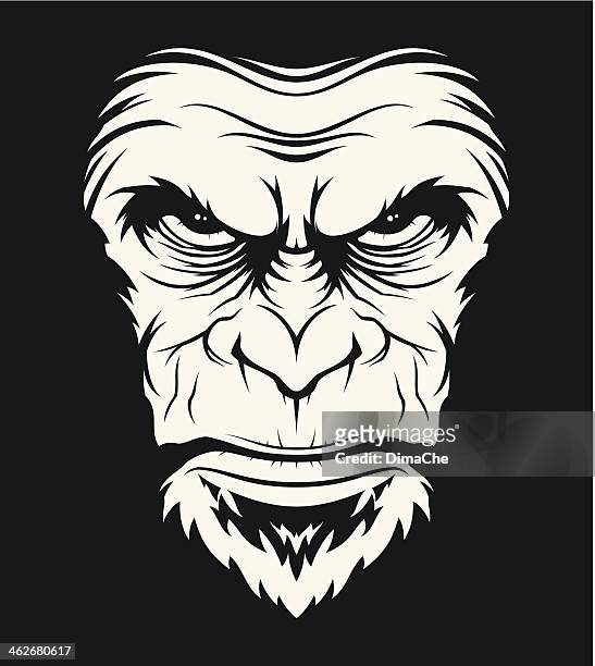 bildbanksillustrationer, clip art samt tecknat material och ikoner med angry ape head - chimpanzee