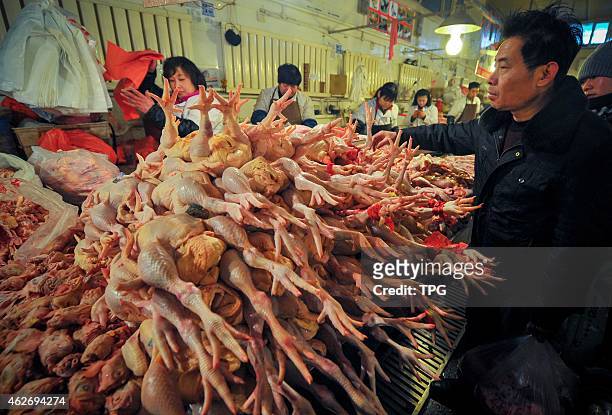All the live-bird markets of Urumchi are closed to control H7N9 epidemic situation on 03 February, 2015 in Urumchi, Xinjiang, China.