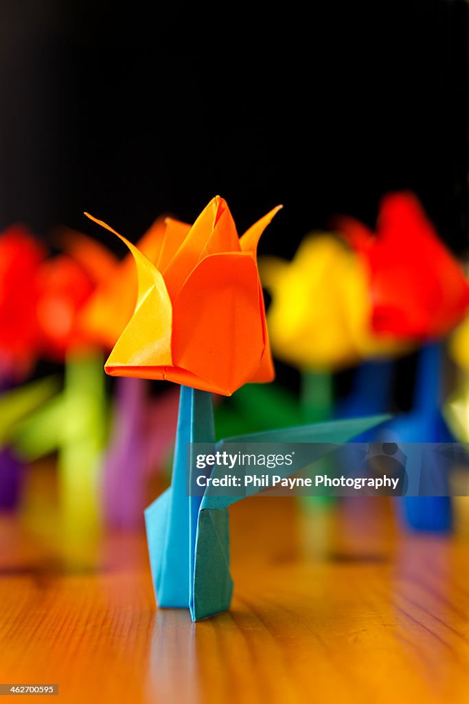 Origami tulip paper art object