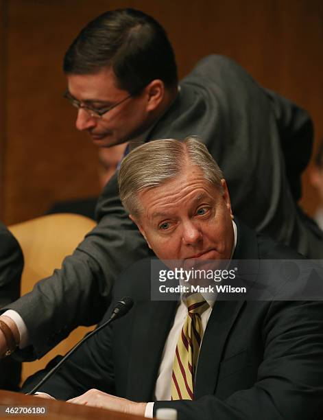 Sen. Lindsey Grahham participates in a Senate Budget Committee hearing on Capitol Hill, February 3, 2015 in Washington, DC. The committee is hearing...