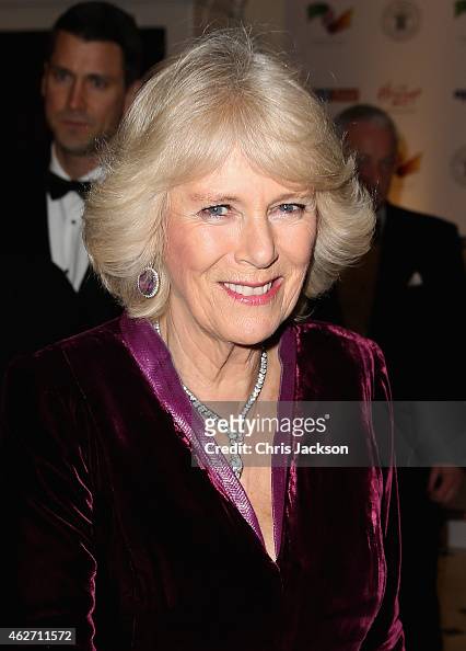 Camilla, Duchess of Cornwall attends the British Asian Trust dinner ...