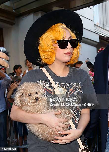 Lady Gaga is seen exiting her hotel with her puppy Fozzy on August 18, 2012 in Vienna, Austria.