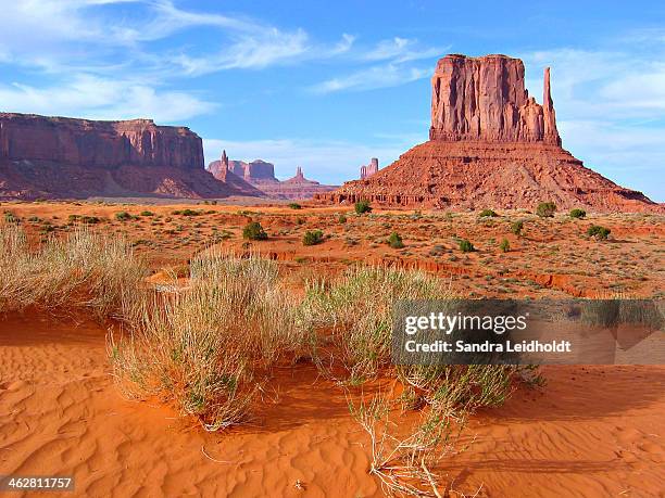 monument valley landscape - arizona desert stock pictures, royalty-free photos & images