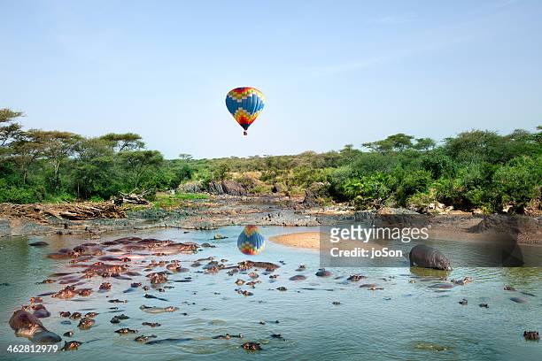 hot air balloom over hippopotamus pool - tansania - fotografias e filmes do acervo