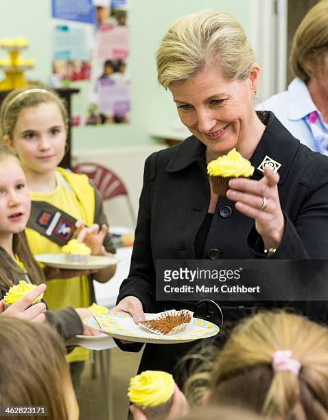 Sophie, Countess of Wessex and President of Girlguiding visits the 5th Frimley Brownies on January 15, 2014 in Frimley, England.
