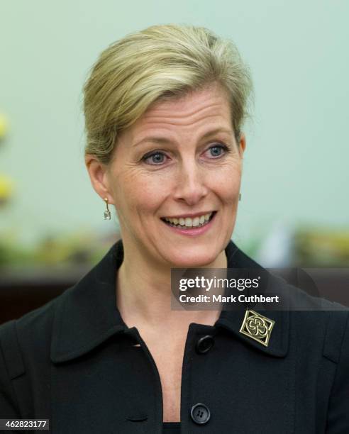 Sophie, Countess of Wessex and President of Girlguiding visits the 5th Frimley Brownies on January 15, 2014 in Frimley, England.