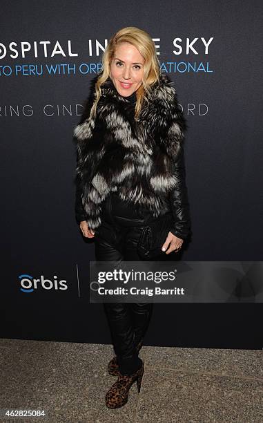 Artist Stephanie Hirsch attends the screening of "The Hospital In The Sky" presented by OMEGA at New York Historical Society on February 5, 2015 in...