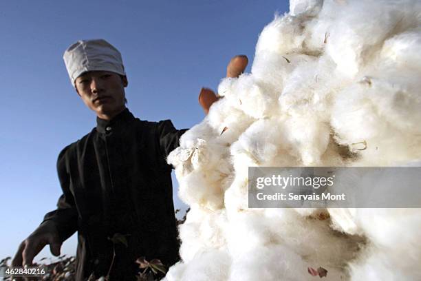 October 10: A worker harvests cotton in a cotton field on October 10, 2006 near Korla, Xinjiang province, China.