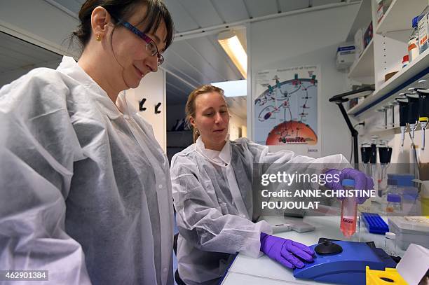 Marie-Reine Schneider, head of the pharmaceutical development and Caroline Gouarne, researcher in cell biology, use a solution of a molecule called...