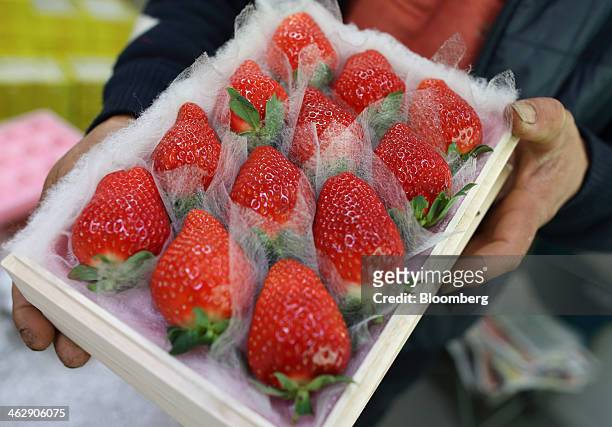 Mikio Okuda, owner of Okuda Farm, holds a box of Himebijin strawberries for a photograph at his farm in Hashima, Gifu Prefecture, Japan, on Tuesday,...