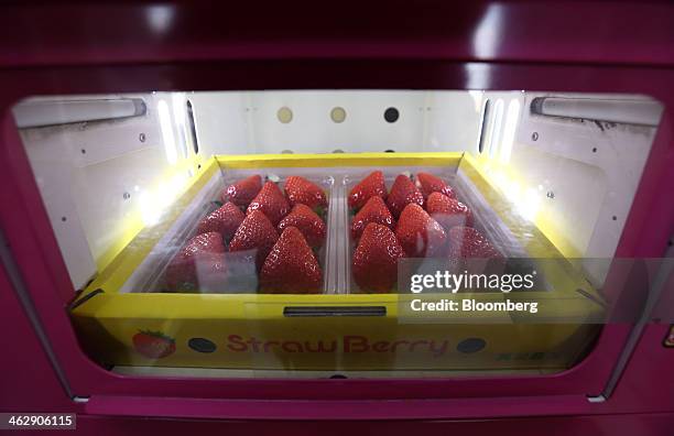 Tray of Himebijin strawberries sits in a vending machine at Okuda Farm in Hashima, Gifu Prefecture, Japan, on Tuesday, Jan. 14, 2013. The farm this...