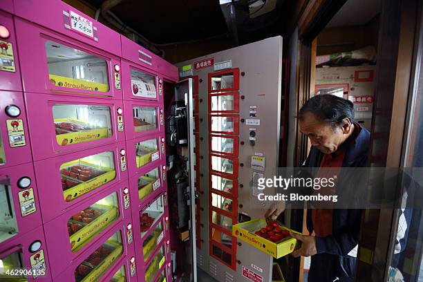 Mikio Okuda, owner of Okuda Farm, prepares a tray of Himebijin strawberries to be placed for sale in a vending machine at his farm in Hashima, Gifu...
