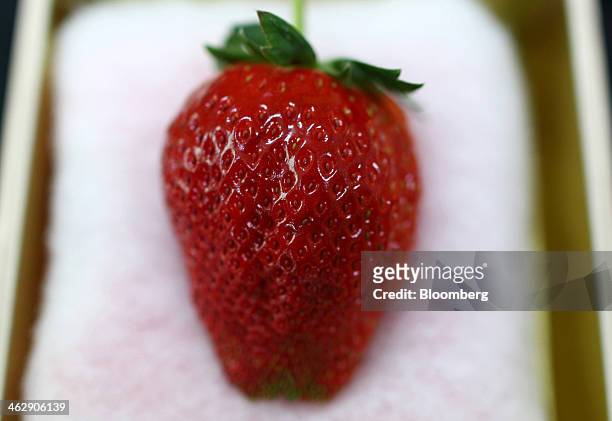 Himebijin strawberry, priced at 50,000 yen , sits in a wooden box at Okuda Farm in Hashima, Gifu Prefecture, Japan, on Tuesday, Jan. 14, 2013. The...
