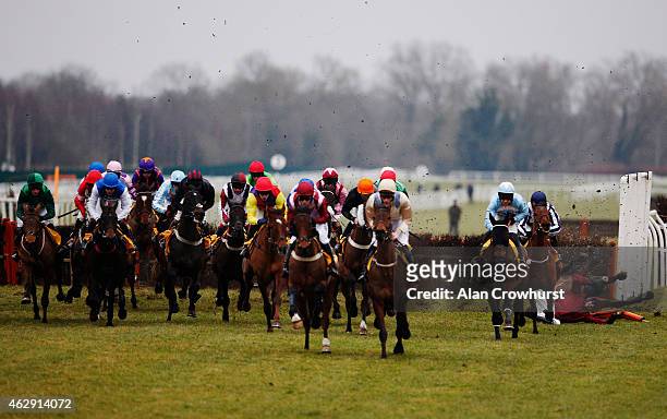 Tony McCoy falls from his mount Goodwood Mirage at the first flight of hurdles in The Betfair Hurdle Race at Newbury racecourse on February 07, 2015...