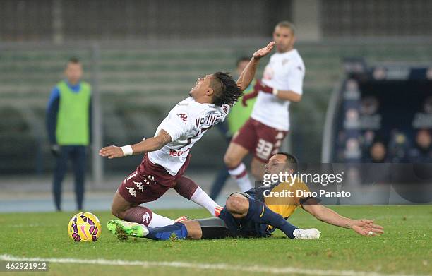 17 Pinto Rafael Marques Stock Photos, HighRes Pictures, and Images