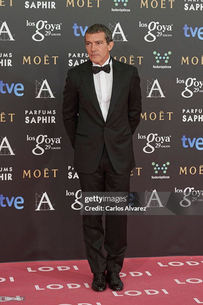 Goya Cinema Awards 2015 - Red Carpet