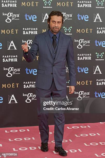 Jordi Molla attends Goya Cinema Awards 2014 at Centro de Congresos Principe Felipe on February 7, 2015 in Madrid, Spain.