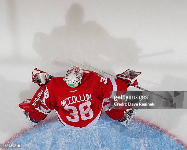 Tom McCollum of the Detroit Red Wings makes a blocker save in warm-ups prior to the NHL game against the New York Islanders on January 31, 2015 at...