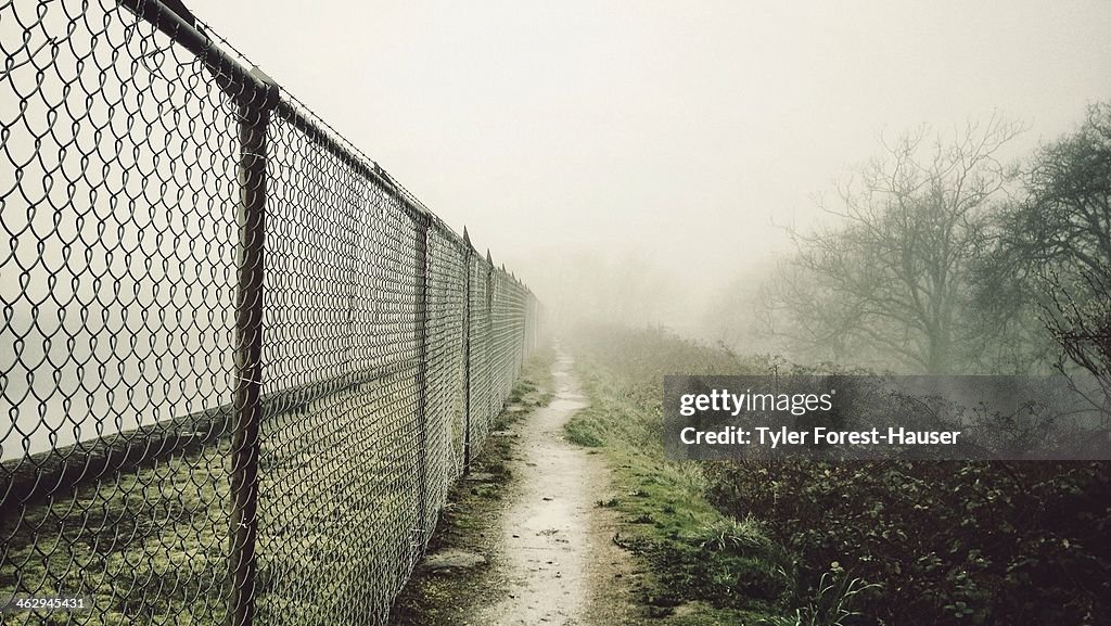 Foggy Path Lined with Chain Link Fence