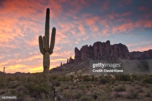 lost dutchman state park, superstition mountains - superstition mountains fotografías e imágenes de stock