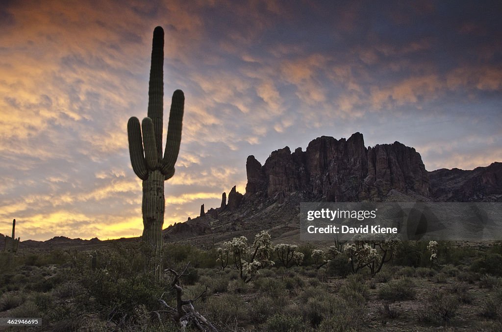 Lost Dutchman State Park, Superstition Mountains