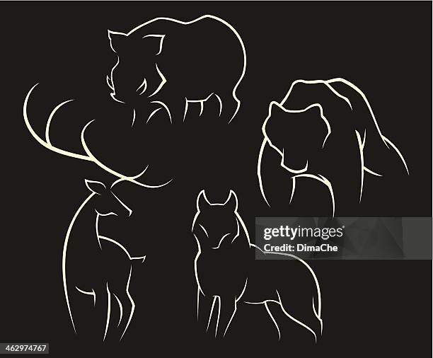 wild animals - wolf stock illustrations
