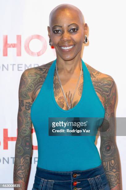 Actress Debra Wilson attends the LA Art Show 2014 Opening Night Premiere Party at Los Angeles Convention Center on January 15, 2014 in Los Angeles,...