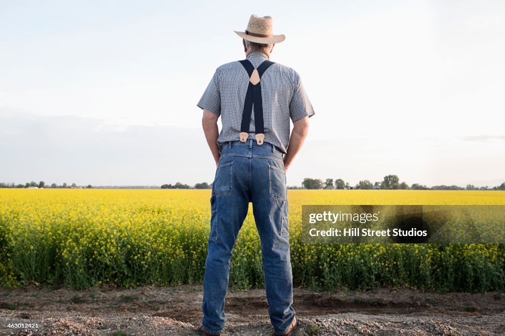 Caucasian farmer looking at mustard crop