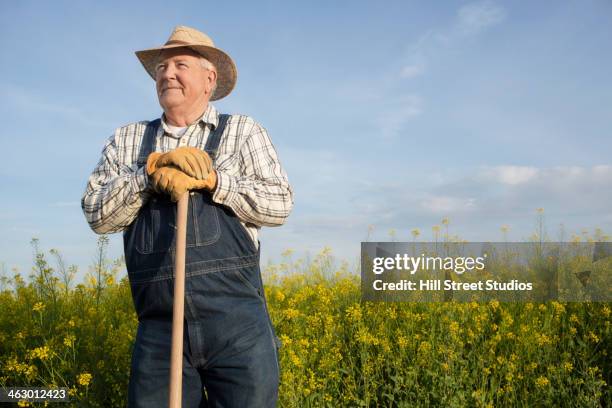 caucasian farmer standing in mustard field - overall stock pictures, royalty-free photos & images