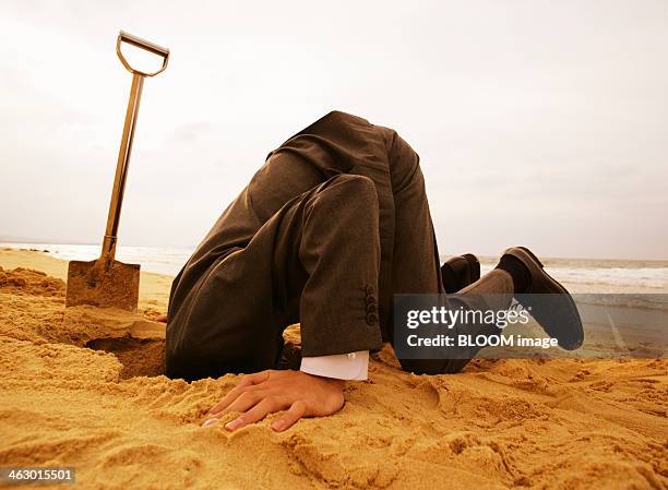 businessman putting head in sand - digging bildbanksfoton och bilder