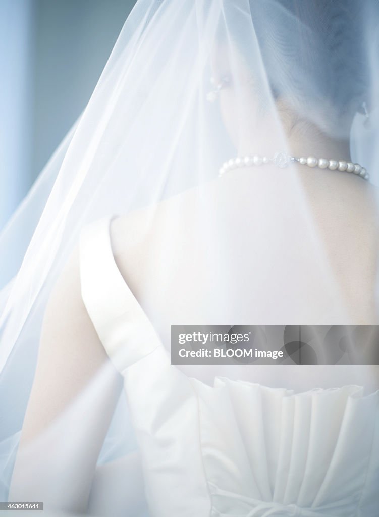 Close-up Of Bride