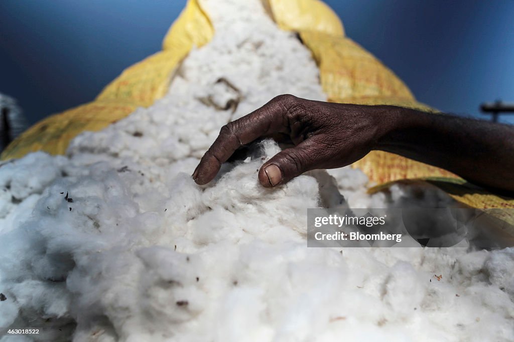 Farmer Suicides Climbing In India Amid Cotton Slump