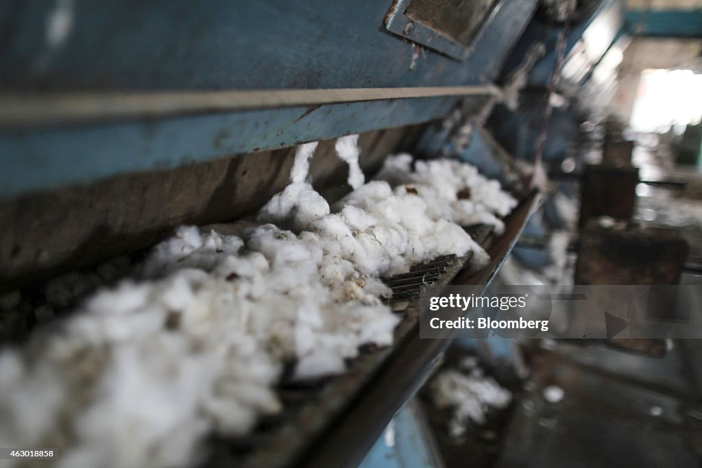 Farmer Suicides Climbing In India Amid Cotton Slump