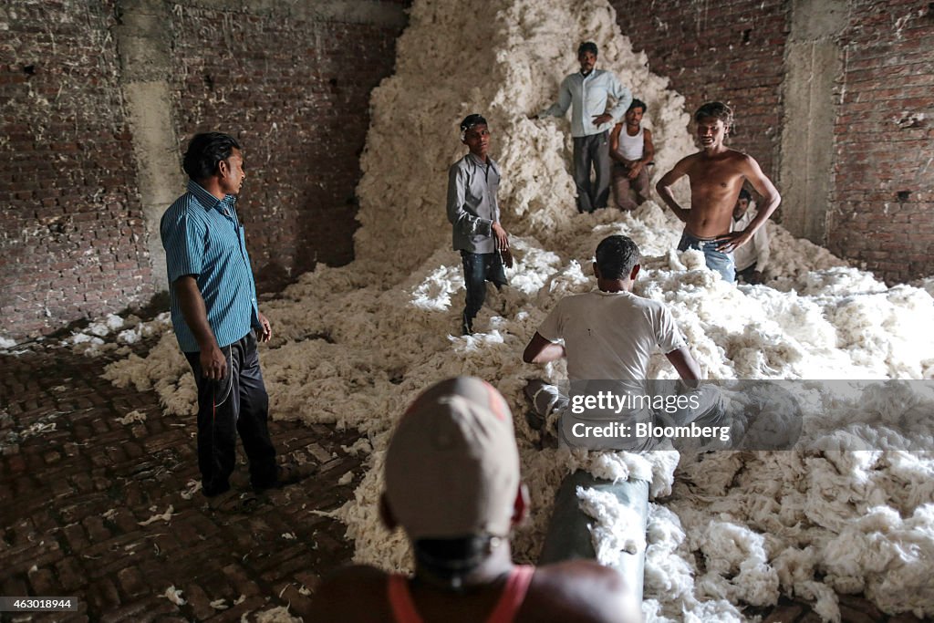 Farmer Suicides Climbing In India Amid Cotton Slump