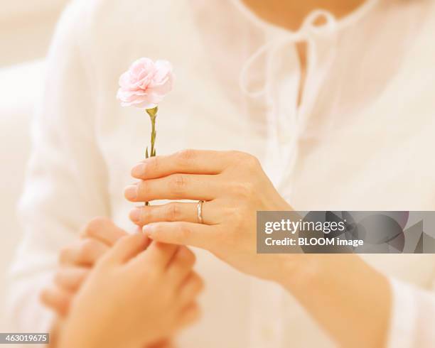 girl giving flower to woman - enkele roos stockfoto's en -beelden