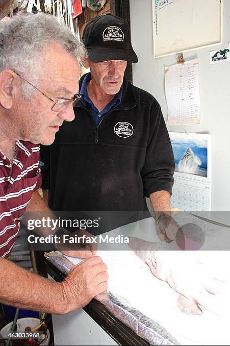 Goblin Shark Caught On The NSW South Coast