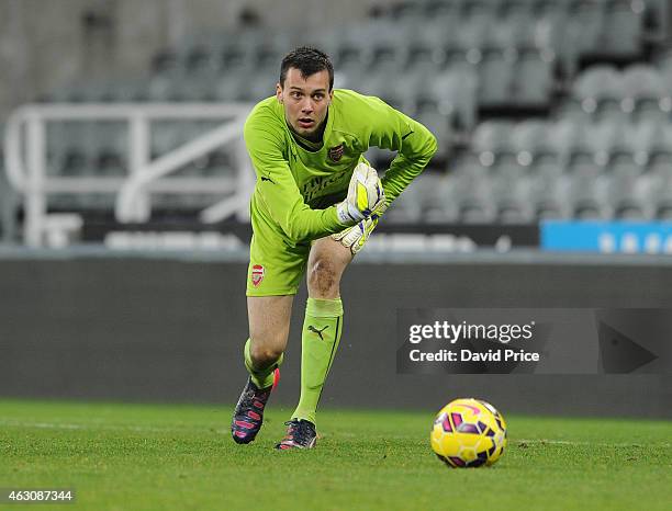 Dejan Iliev of Arsenal during the match between Newcastle United and Arsenal in the Barclays U21 Premier League at St. James Park on February 9, 2015...