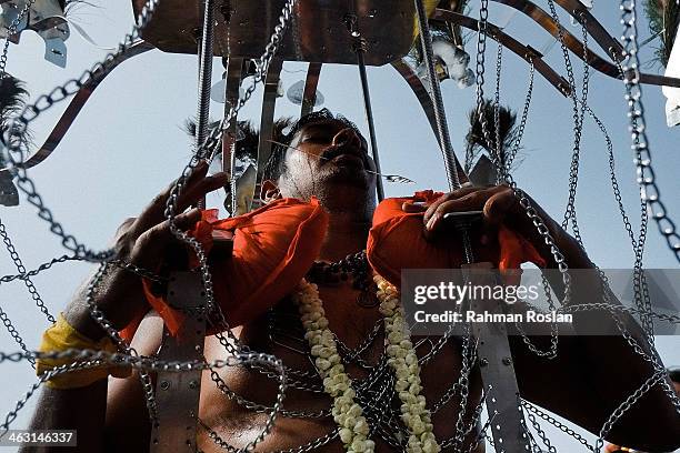 Devotee dances while carrying a Kavadi during the Thaipusam festival on January 17, 2014 in Kuala Lumpur. Thaipusam is a Hindu festival celebrated on...