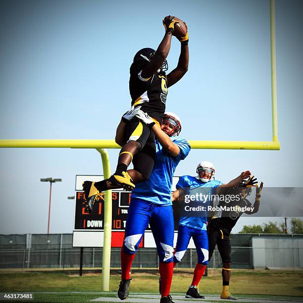 Touchdown Catchs 49,154 Touchdown Catch Stock Photos, High-Res Pictures, and Images ...