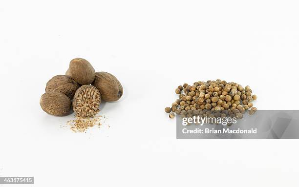 food - semilla de coriandro fotografías e imágenes de stock