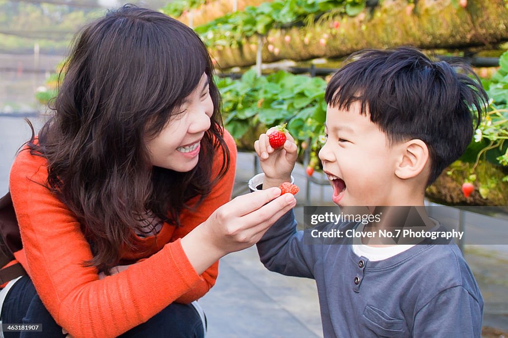 Mother to son to eat strawberries.