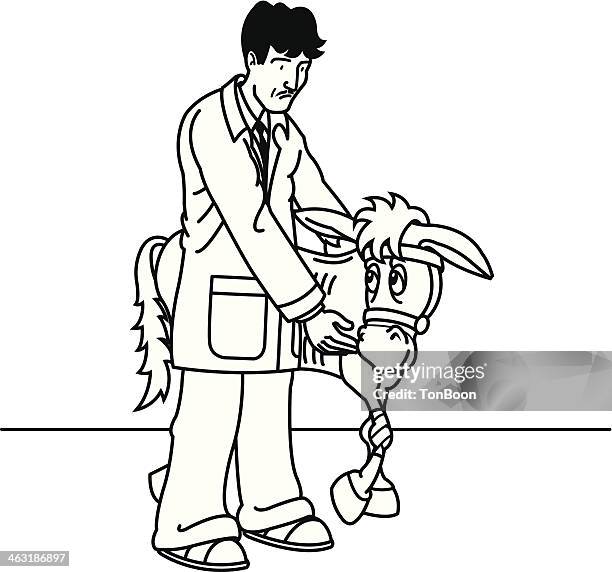 veterinarian treating a wounded donkey - relieved man stock illustrations