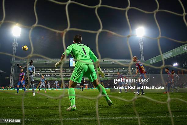 Papiss Demba Cisse of Newcastle United scores their first goal past Julian Speroni of Crystal Palace during the Barclays Premier League match between...